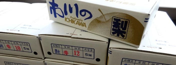 新高梨